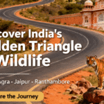 Golden Triangle Tour with Ranthambore